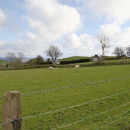 Bryntrisant Villa Devils Bridge Exterior photo